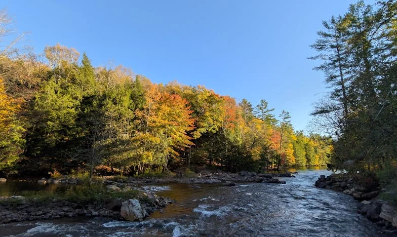 Majka muža ili majka problema?