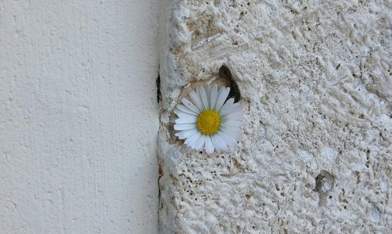 Miris izdaje: Kad je parfem otkrio istinu o mom braku