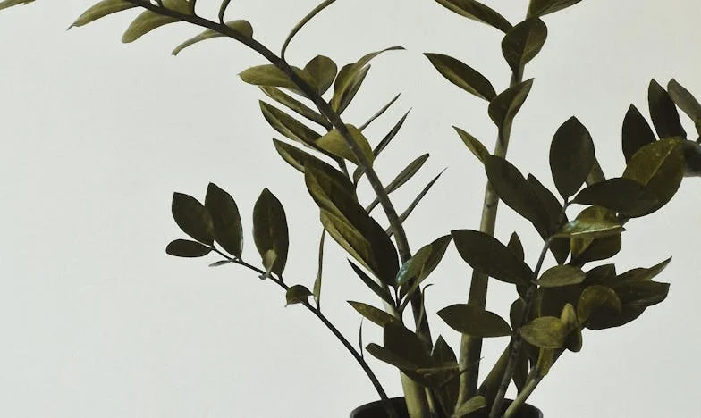 Moj auto, moja obitelj i neizgovoreno oproštenje – priča o povjerenju, razočaranju i obiteljskim tajnama