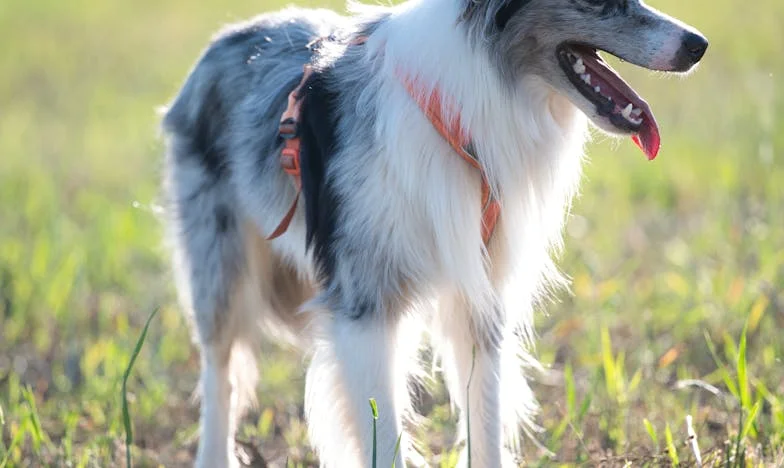 Naša godišnjica – dan kad je sve puklo
