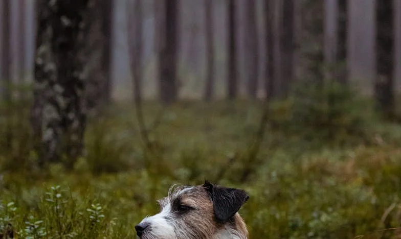 Ne, mama neće živjeti s nama – Moja borba za dom i sebe samu