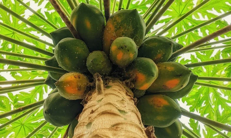 „Neka tvoj bivši plaća za tvoju djecu“, rekao je moj muž: Kako smo kao patchwork obitelj tražili svoj put