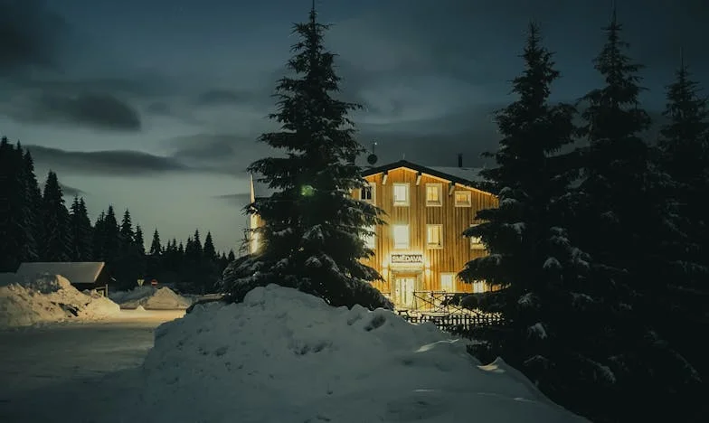 Nevidljiva u Vlastitom Domu: Priča o Odlasku