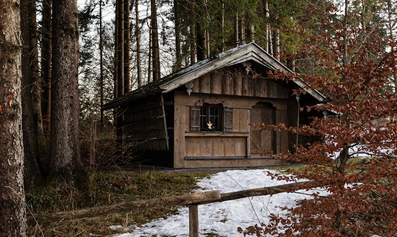 Novčanik mog muža i moja zlatna kavez: Borba za slobodu u zaleđenom braku