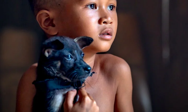 Odlazak bez povratka: Priča o izdaji, oprostu i izgubljenoj obitelji