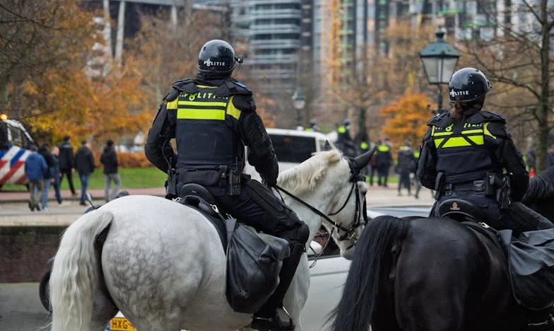 Pet puta dnevno nove čarape: Moj život s Edinom