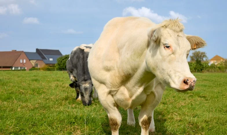 Predala sam kćeri stan. Godinu dana kasnije izbacila me na ulicu.