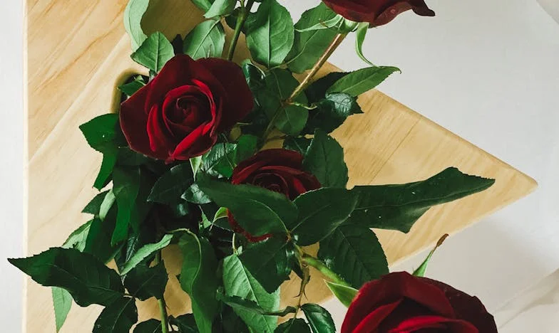 Sve što nisam znala o svom sinu: Istina koja je promijenila moj život