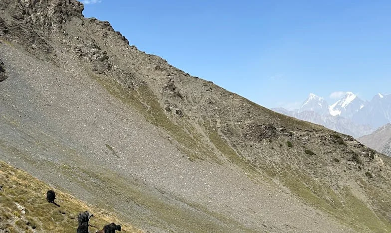 Svekrva koja je htjela najbolje… a uništila je našu obitelj: Moja borba za dom i mir