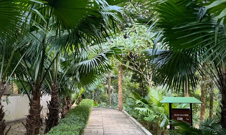 Tamo gdje dom ne daje mira – priča o izgubljenoj obitelji