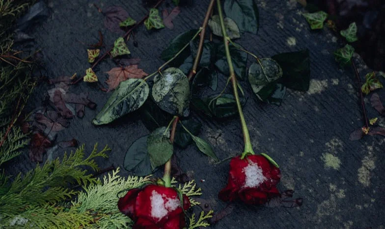 Uljezi u mom domu – priča o izdaji i snazi