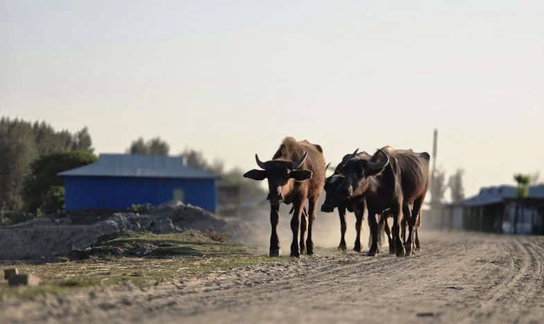 Zašto sam zabranila kćeri da se razvede od bogatog muža: Ne shvaća koliko je sretna