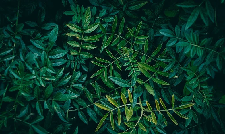 Zatvaram vrata za sobom: Priča o kraju i novom početku