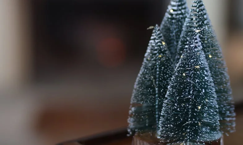 Glas na peronu: Priča o gubitku i nadi