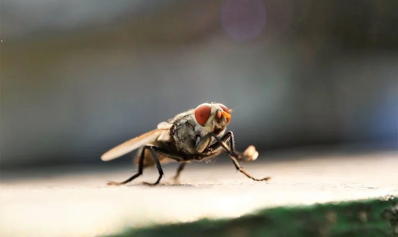 Godine u tuđini za njihovu budućnost: Kupio sam djeci stanove, ali nisu me pustili ni da prenoćim