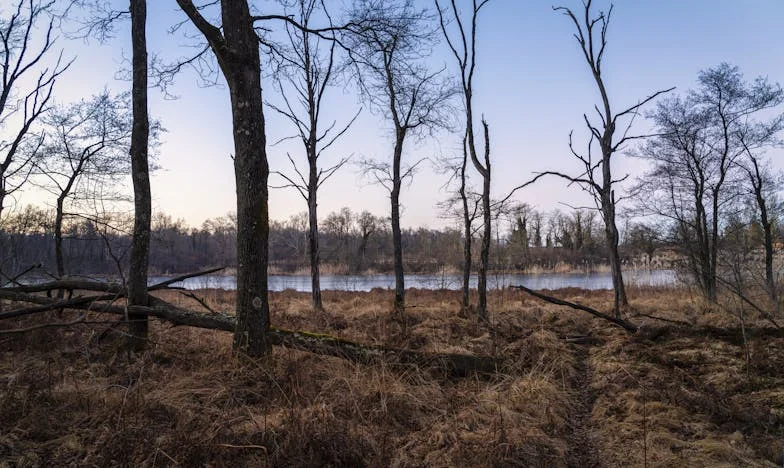 Između dva svijeta: Božić koji je razorio moju obitelj
