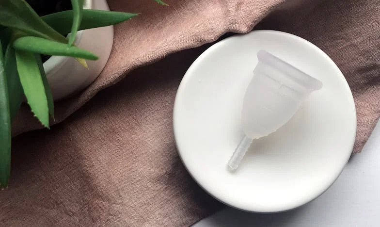 Između dvije vatre: Priča o snahi i svekrvi u Zagrebu