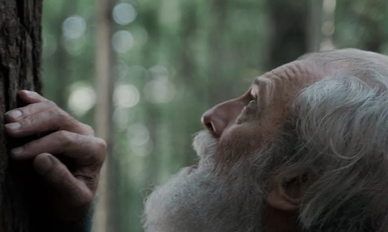 Između ljubavi i izdaje: Srce mi je ukrao bratov izbor