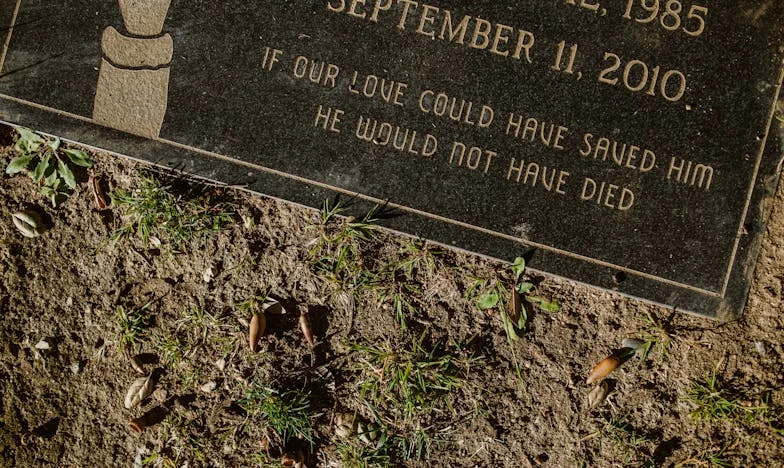 Kad mama kaže: 'Imat ćemo goste!' – Povratak u selo i suočavanje s obitelji