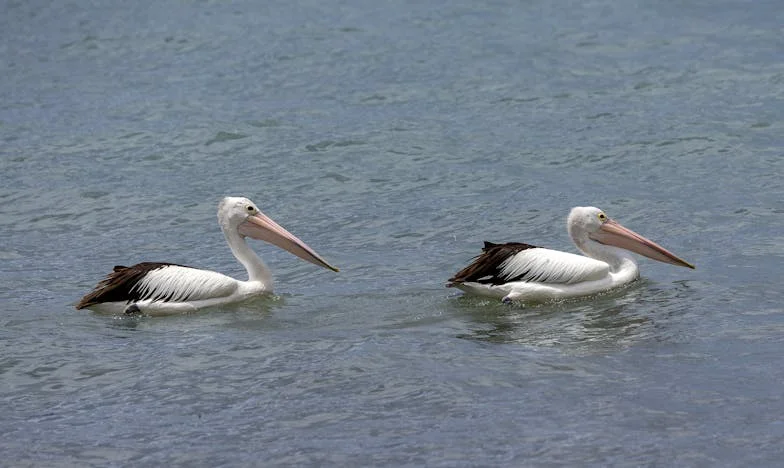 Kad more postane oluja: Ljetovanje s taštom koje je promijenilo sve