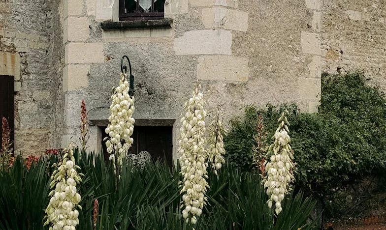 Kad obitelj postane teret: Moja borba za granice, lojalnost i vlastiti život