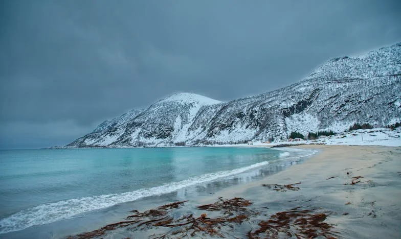 Kad postaneš gost u vlastitom domu: Priča o izdaji, snazi i novom početku