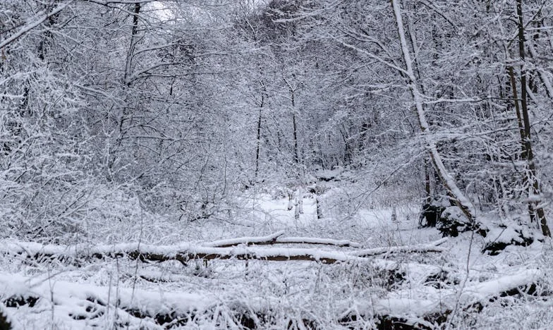 Moja kćerka ne ide na more, ali novac za putovanje se ipak traži – Priča o nepravdi u porodici