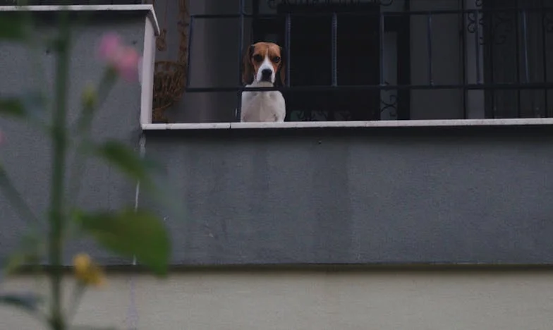 Preseljenje koje je slomilo moju obitelj: Priča iz sarajevskog naselja