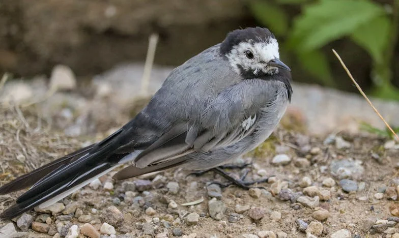 Prodajem stan, ali kćeri ne pomažem – Jesam li sebična ili pravedna?