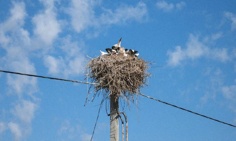 Samotni otac iz Novog Zagreba: Kako sam se borio za svoju djecu kad je sve puklo