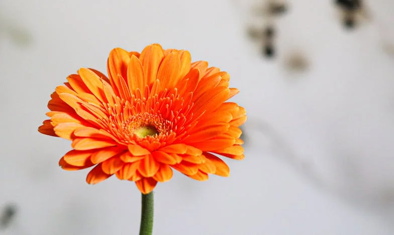 Što sam pronašla u folderu 'Toga neću pokazati mami'