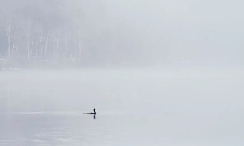 Darovala sam mami inhalator, ali sestra ga je uzela: Kako nas je manipulacija razdvojila