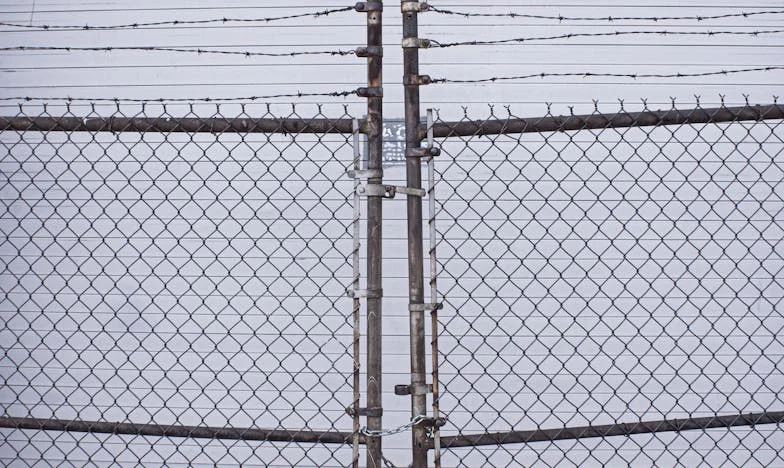 Između Dve Vatre: Kako Sam Preživjela Muža Mamino Dijete