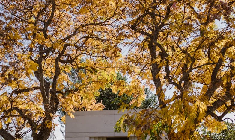 Kad ljubav prema unucima postane bol: Istina koju nisam željela čuti