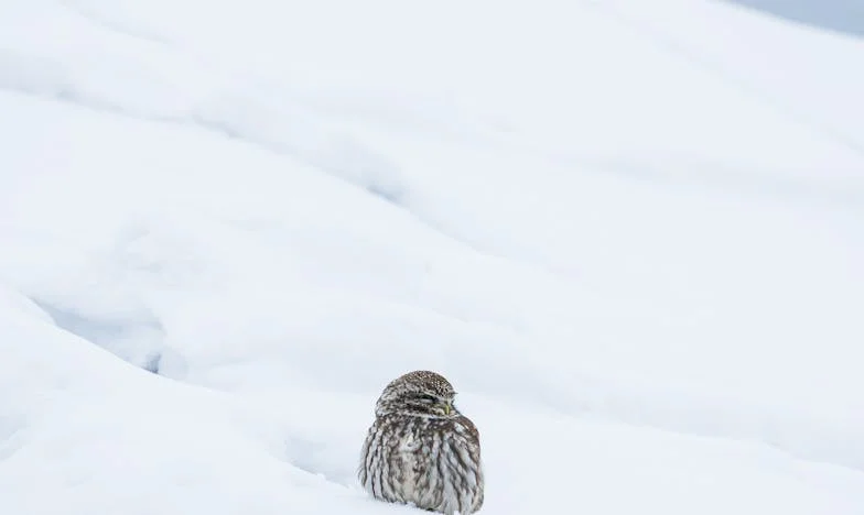Kad tuđa djeca postanu tvoja briga: Ispovijest jedne tetke