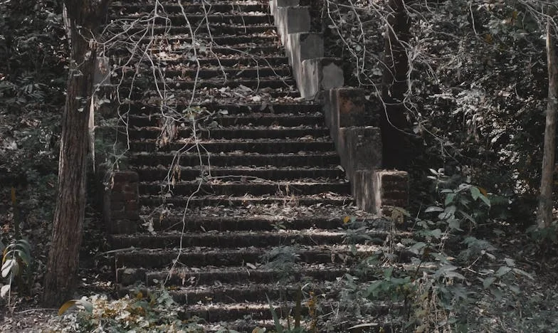 Kako sam pobjegla iz vlastitog doma: Priča o bijegu, krivnji i majčinoj mržnji