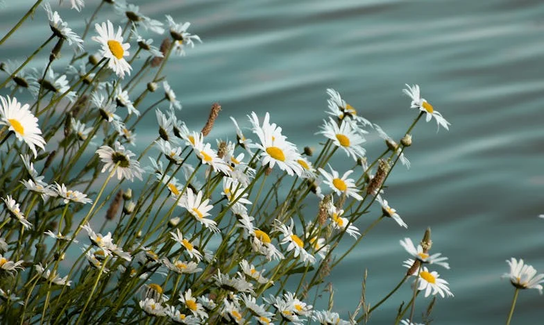 Rachun iz džepa: Istina koja mijenja sve