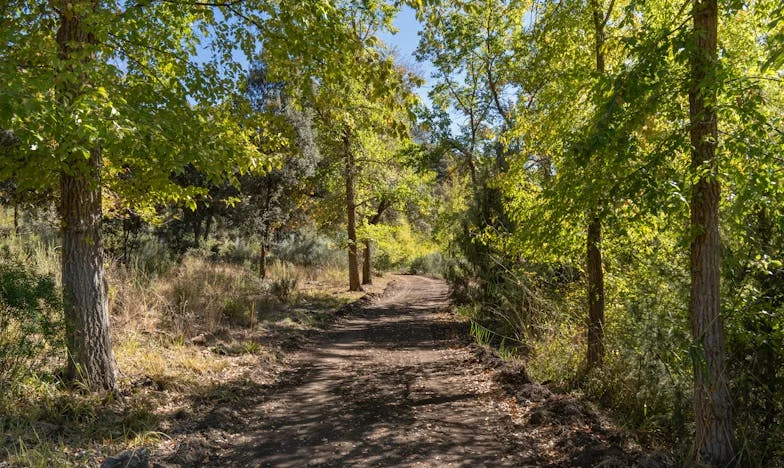 Amikor az anyósom még az utolsó bögrémet is elvette: Egy harc a saját életemért