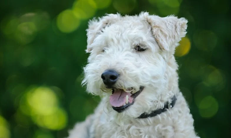 A lányom szégyene – Egy anya vallomása a szeretet és pénz között
