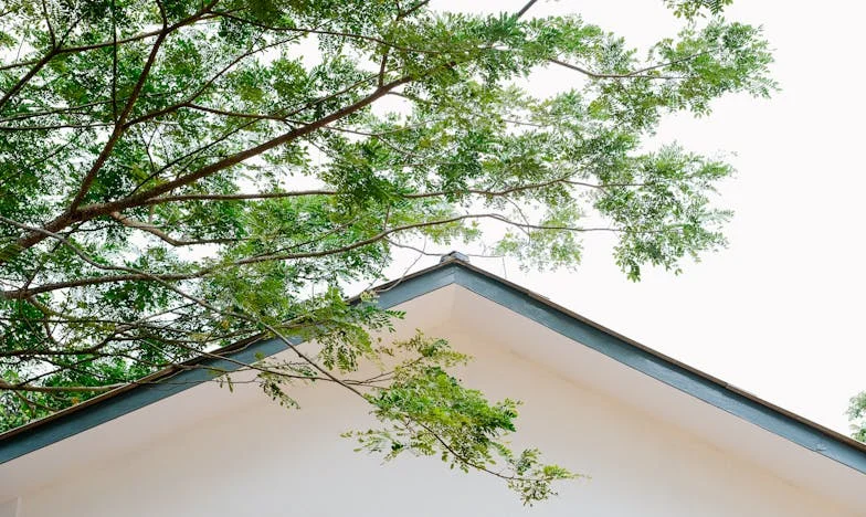 Amikor a csend megszakadt: Második esély a szerelemre egy magyar özvegy életében