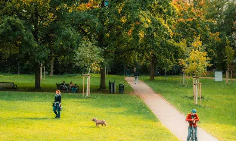 Amikor a virágok elárulták a szerelmet: Egy házasság vége Budapesten