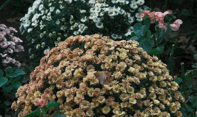 „Anya, ott maradt a folt!” – Egy magyar anyós vallomása: Hol a helyem ebben a családban?