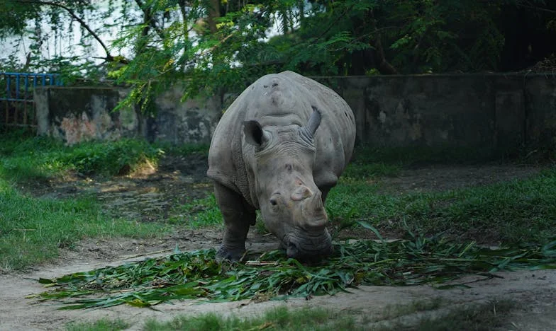 Anyai igazság: Amikor a szeretet nem elég – Egy magyar meny története