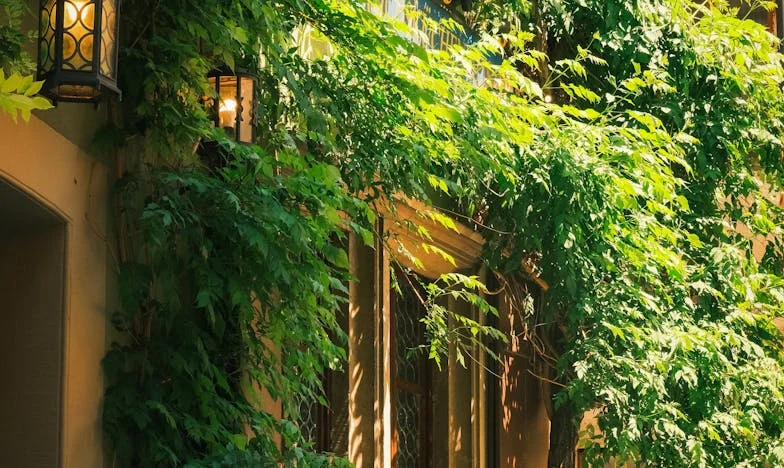 Anyósom ajánlata: Egy ház ára – avagy mennyit ér a bizalom?