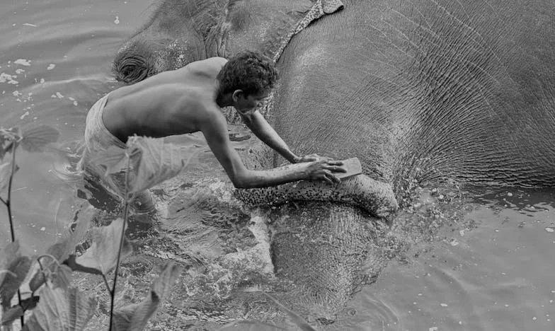 Árulás a betegség árnyékában: Egy magyar nő harca önmagáért