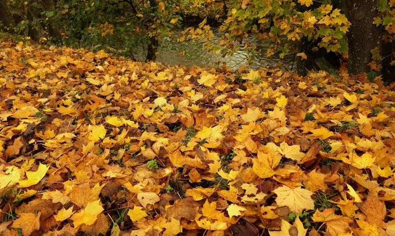 Az igazság ára – Egy magyar család titkai