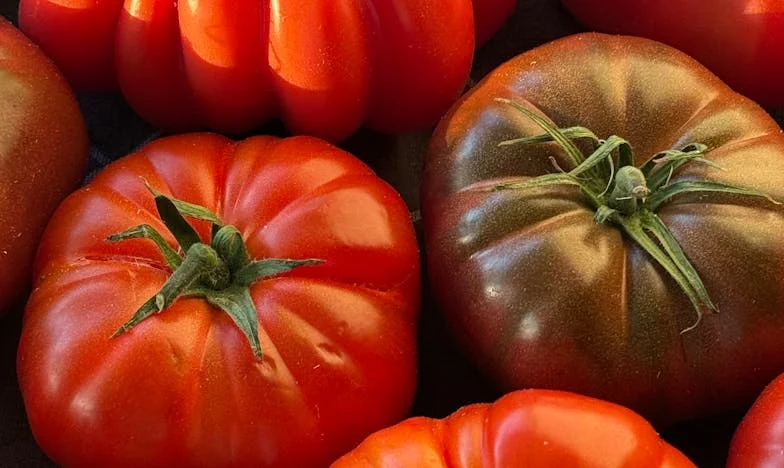 Az örökbefogadás titka: Egy család széthullásának története