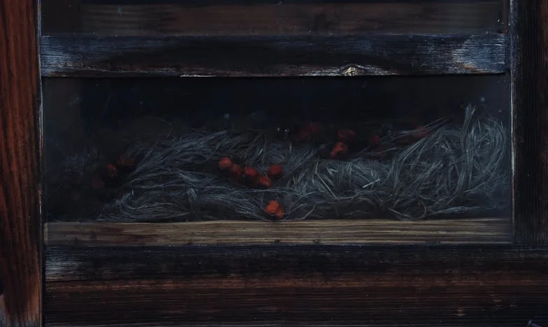 Csak akkor hívsz, ha bébiszitter kell – Egy anya vallomása a fiáról és az unokájáról