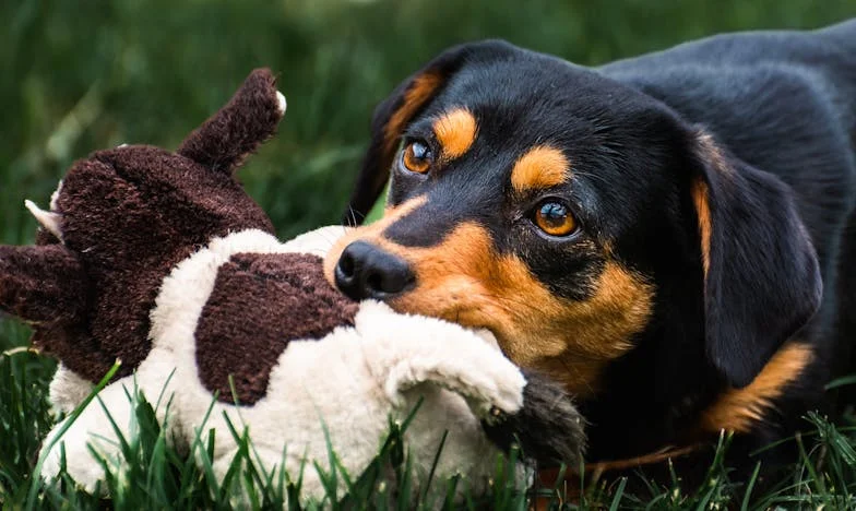 Csendben egymás mellett – Egy házasság árnyékai a pénz miatt