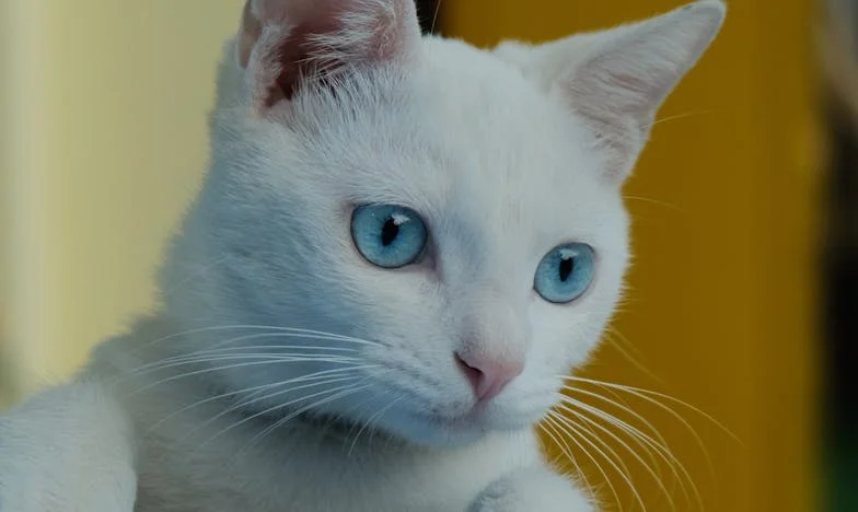 Egy levél, amely összetörte az életem: Amikor az anyám tartásdíjat követel tőlem